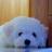 ddamota's profile image