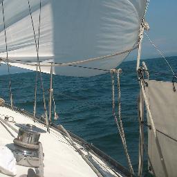 pmecheli's profile picture. 