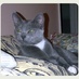 Barbara Ann Jennings (@bar_jen) Twitter profile photo