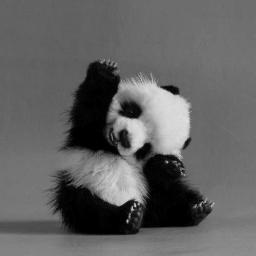 Your daily little dose of love!