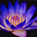 Gail Richmond - @glr144 - Twitter