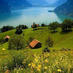 أحرار الجزيرة (@mohammed_r8) Twitter profile photo