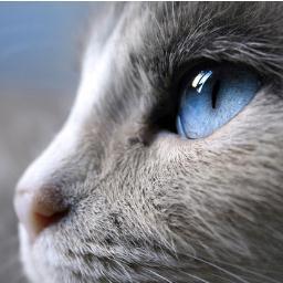 Bonjour, I like to tweet…a LOT. Always happy to make new friends on Twidder :) x
Blog: https://t.co/QIk1QlYW43