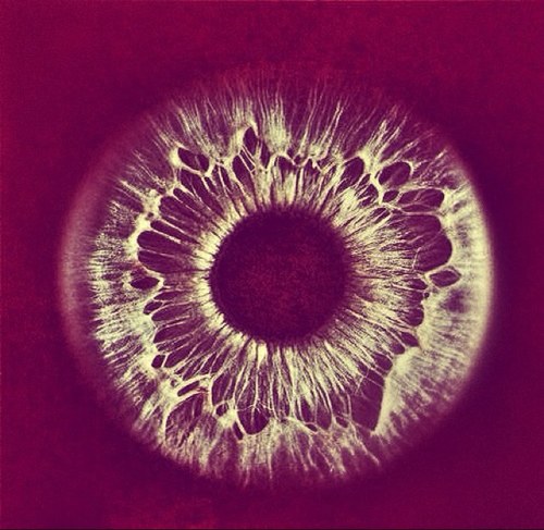 KOB_TET's profile picture. ➕GROUP of ARTISTS, PHILOSOPHERS and THIRD EYE THINKERS, WE ARE HERE TO AWAKEN THE PEOPLE➕