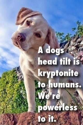 HannasNaughty's profile picture. 