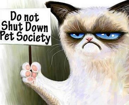 Pet Society Spieler