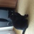 DiemClaudiadiem's profile image