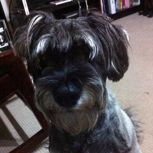 MelodyGGruber's profile picture. 