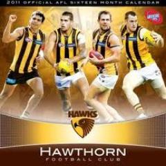 Bernie24hawks's profile picture. 