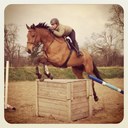 Claire Schaefer - @claire_schaefer - Twitter