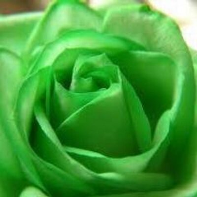 Emademad On Twitter Dailymotion Celebx Tk Joan Severance May Karasun Lake Consequence Http T Co E4oj0tkb Via Dailymotionuk