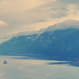 MoiMoooff's profile picture. 