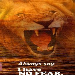honesty brave boy with lovable heart