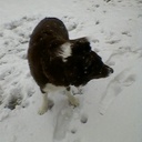 Marion Saunders - @SaundersMarion - Twitter