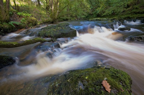 GlynneathTown's profile picture. This Twitter Account Is For People To Know What Activities Are Happening In Glynneath.Feel Free To  Join &Tweet & Let Us Know Whats Going On.