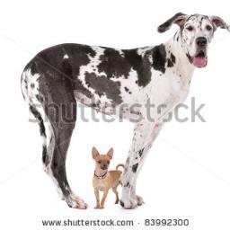 TracySatterley's profile picture. worlds best rock mother