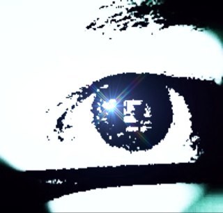 burdgal's profile picture. Creative