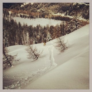 fortfiled's profile picture. 