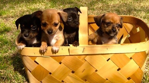 pjlh1968's profile picture. 