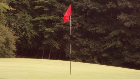 vargogolfco's profile picture. 