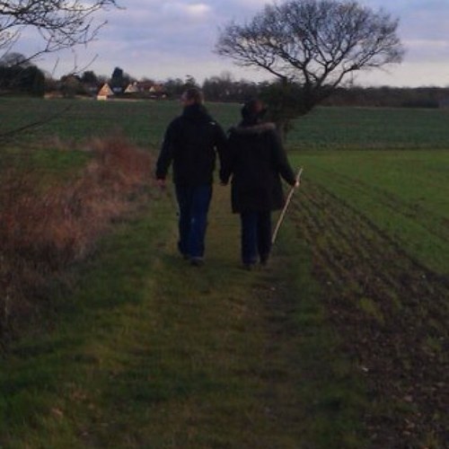 tonilf82's profile picture. 