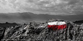 NousItineraris's profile picture. 