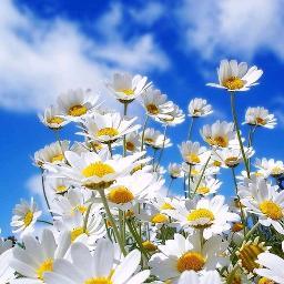 gaznatova's profile picture. новое увлечение - читать Рекомендации вконтакте. Жизнь малознакомых людей так увлекает