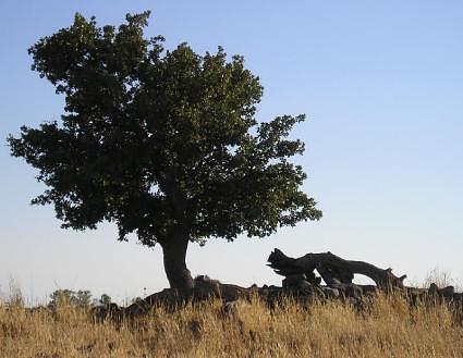 PastorJC74's profile picture. 