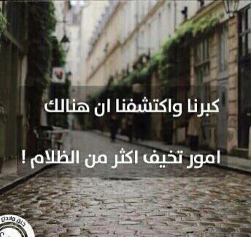 أنا لا أجيد ثقافة الإساءة، لكن بالمقابل أتقن مبدأ التجاهل وبشدة