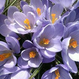 HdDelfs's profile picture. 