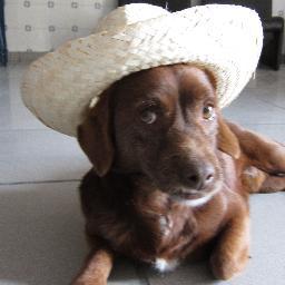 dayslikeme's profile picture. Fico doidona com doidices, e claro com guloseimas!