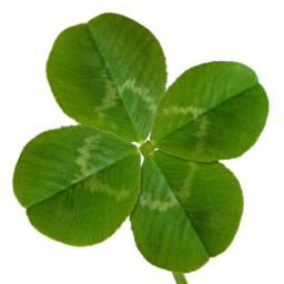 I am a real person. I sometimes waste time tweeting about sweepstakes, giveaways, freebies, my thoughts, and other awesome randomness.