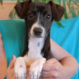 MariettaNixon23's profile picture. Posting Interesting Links | 
Feel free to follow me =) I am 100% #teamfollowback