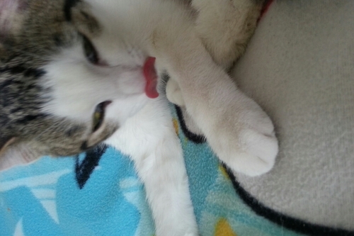 PaulSMabley's profile picture. CEO of http://t.co/xcLhrivvOe
Being English I swear too much, have a naughty sense of humour and love football (don't call it soccer, please!). I hate tea.