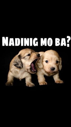 Manga salita na nais mong malaman.
