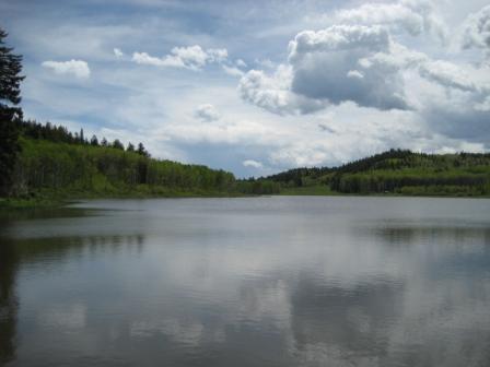 Colorado Water Conservation Board, Stream and Lake Protection Section Staff responsible for the physical protection and hydrologic data collection needs.