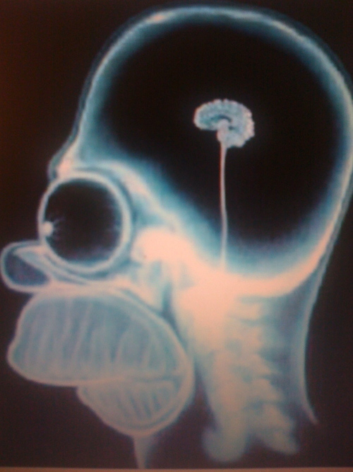 IanThePERSON's profile picture. 