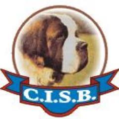 CISBAMorsiani's profile picture. Il Club Italiano San Bernardo A. Morsiani - CICB mira a svolgere ogni più efficiente azione per migliorare, incrementare e valorizzare il cane di S. Bernardo