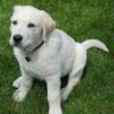 Nate Higgins - @NitroNate76 - Twitter