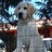 Marsan3740's profile image