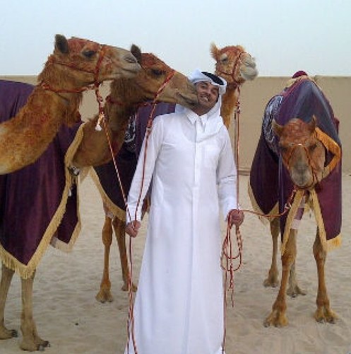 aheebqatar's profile picture. 