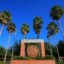 SOBERexpress's profile picture. S.O.B.E.R. Express: Saving Our Bulls Every Ride!
Support USF Tampa providing students with a safe-ride system to make our community safer!