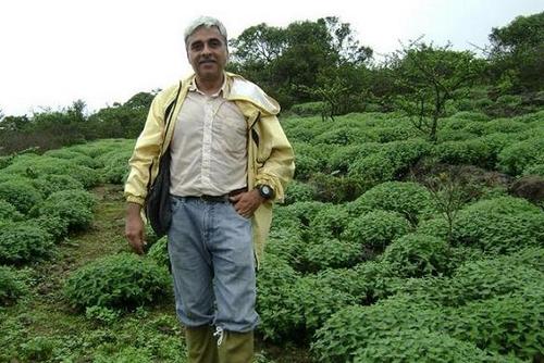 vagaries of the weather blog rajesh kapadia meteorology  Indian sub-continent extreme world weather nature birdwatching