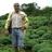 rajesh26's profile image