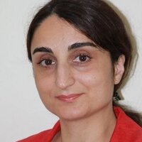 Nahid Alaei(@NahidAlaei) 's Twitter Profile Photo