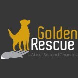 GoldenRescue Profile Picture