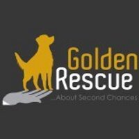 Golden Rescue (@goldenrescue) 's Twitter Profile