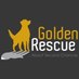 Golden Rescue (@GoldenRescue) Twitter profile photo