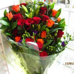 gill_taylor_1's profile picture. I love the garden, visiting Museums/Gallaries/Fairs and having a good chin wag. Took up Nordic Walking , love living near the coast. Live West Sussex.