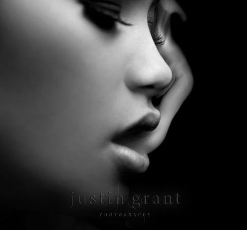 Aliifox's profile picture. LLCD